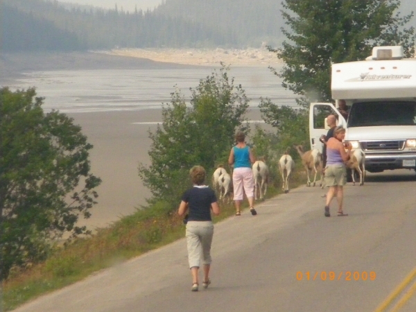107 - Medicine lake