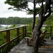 207 - Middle beach lodge Tofino