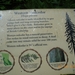 217 - Cathedral trail