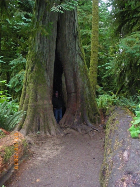 224(1) - Cathedral trail