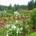 238 - Butchard gardens