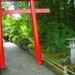 240 - Butchard gardens- Japanse tuin