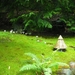 241 - Butchard gardens- Japanse tuin