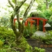 243 - Butchard gardens- Japanse tuin
