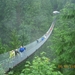 319 - Capilano-brug (2)