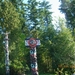 340-Stanley park (2)