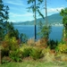 349-Stanley park