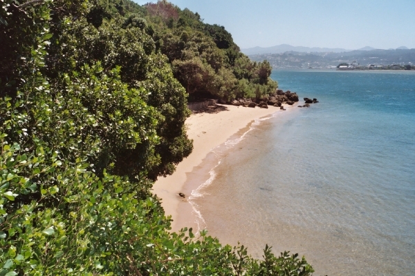 08.10-Knysna