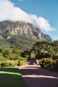 08.28-Kirstenbosch