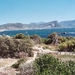 08.3 Boulders beach