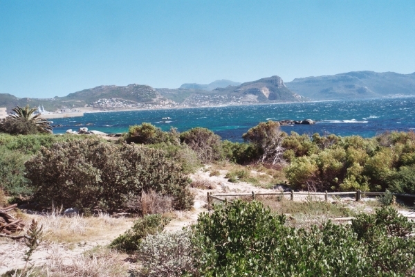 08.3 Boulders beach