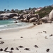 08.7 Boulders beach