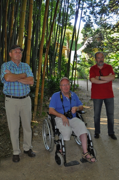 BamboetuinHenri Jos en Chris ria