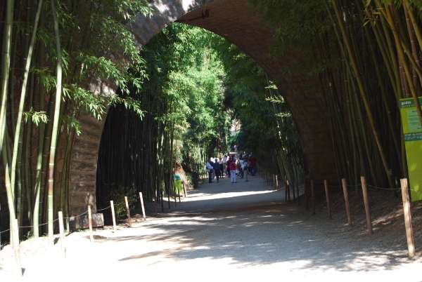 VKOLI 72 Bijeenkomst 2012 011