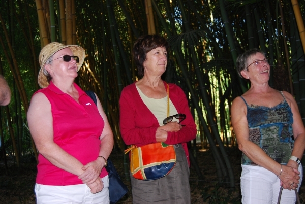 VKOLI 72 Bijeenkomst 2012 016