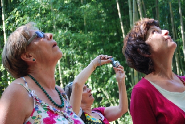 VKOLI 72 Bijeenkomst 2012 022-001