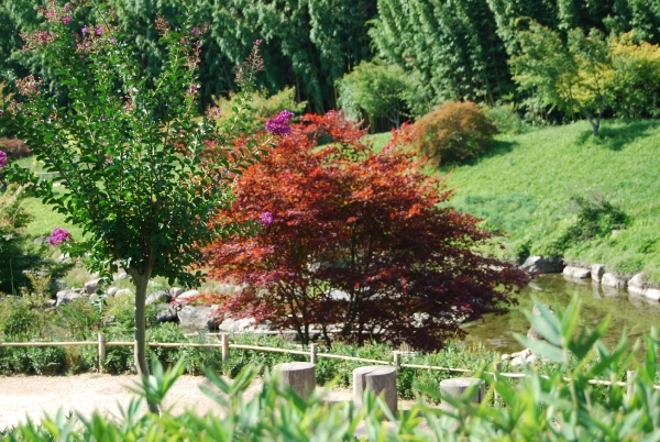 VKOLI 72 Bijeenkomst 2012 035