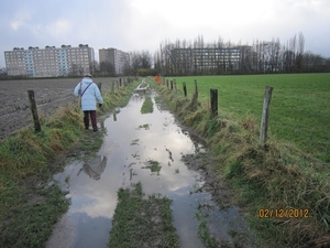 wandeling stroboeren Merksem 002