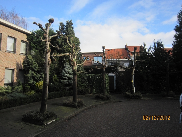 wandeling stroboeren Merksem 007