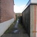 wandeling stroboeren Merksem 008