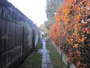 wandeling stroboeren Merksem 009