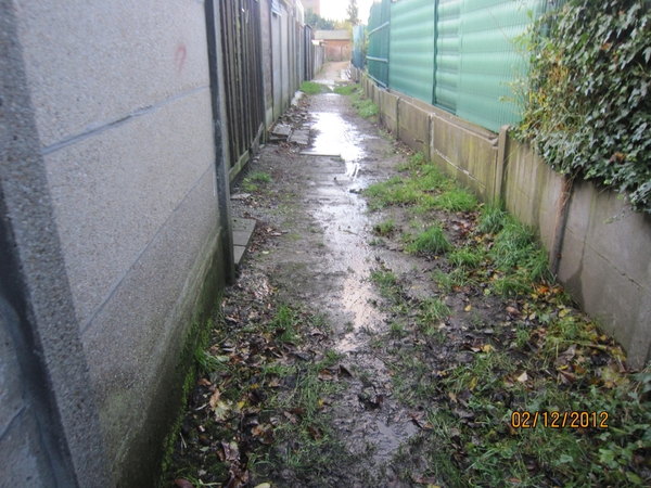 wandeling stroboeren Merksem 010