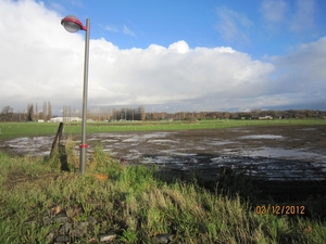 wandeling stroboeren Merksem 012