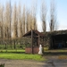 wandeling stroboeren Merksem 016