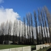 wandeling stroboeren Merksem 019