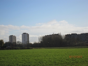 wandeling stroboeren Merksem 020