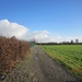wandeling stroboeren Merksem 021