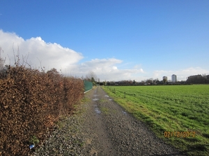 wandeling stroboeren Merksem 021