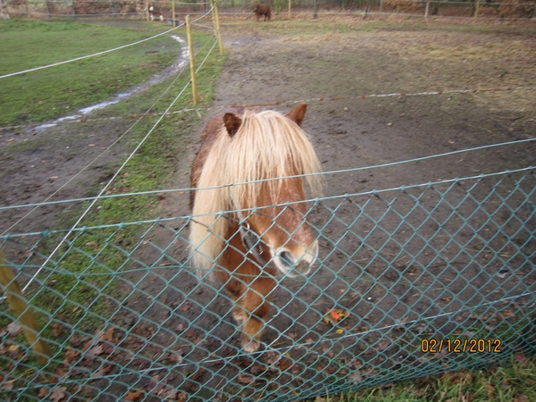 wandeling stroboeren Merksem 022