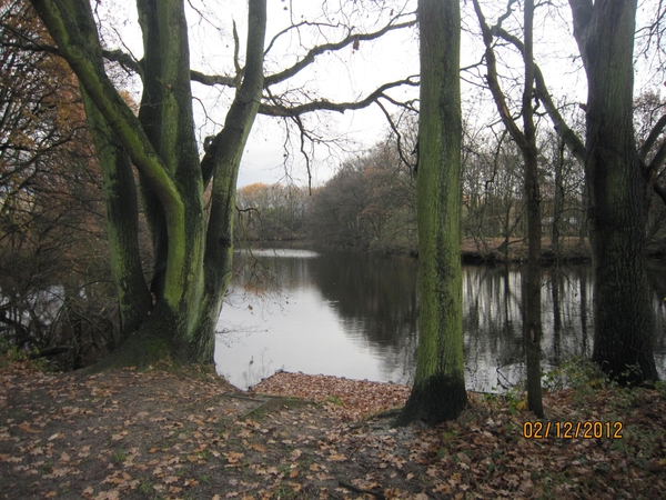wandeling stroboeren Merksem 026