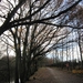 wandeling stroboeren Merksem 028