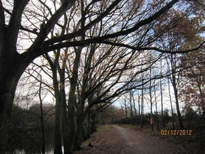 wandeling stroboeren Merksem 028