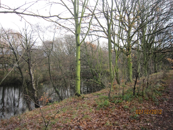 wandeling stroboeren Merksem 029