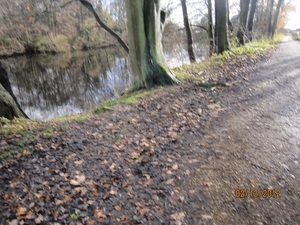 wandeling stroboeren Merksem 030