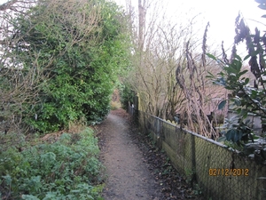 wandeling stroboeren Merksem 031