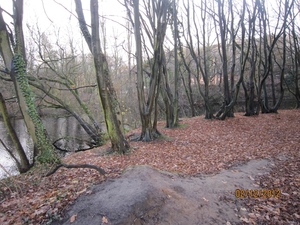 wandeling stroboeren Merksem 033