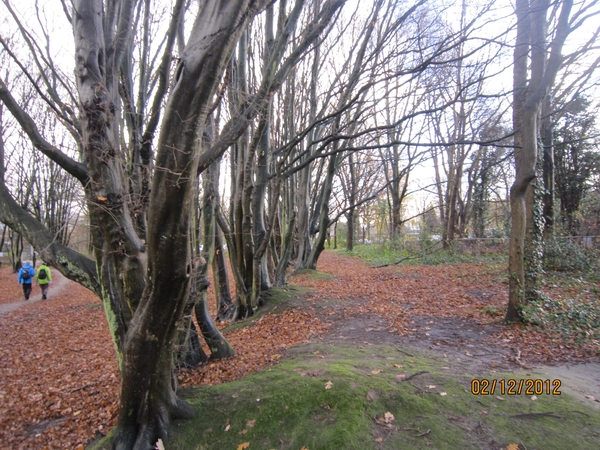 wandeling stroboeren Merksem 034