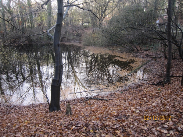wandeling stroboeren Merksem 036