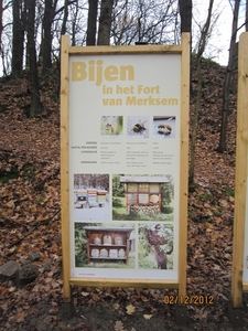 wandeling stroboeren Merksem 040