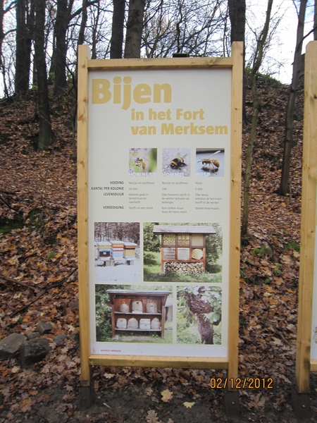 wandeling stroboeren Merksem 040