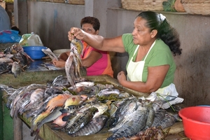 Nicaragua - Granada - market 21-05 2011 (61)
