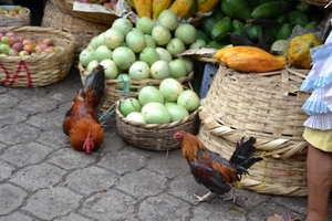 Nicaragua - Granada - market 21-05 2011 (91)