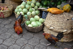 Nicaragua - Granada - market 21-05 2011 (92)