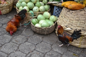 Nicaragua - Granada - market 21-05 2011 (95)