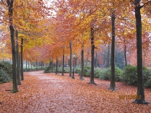 Loenhout wandelen 18-11-2012 017