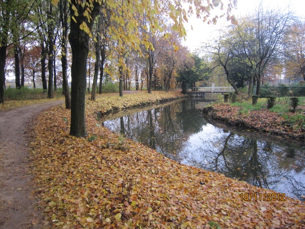 Loenhout wandelen 18-11-2012 026